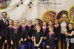 2018.11.10 - Gęsina